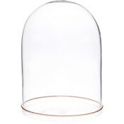 Plymor 5.5" x 8" Glass Display Dome Cloche (Gold Rim Glass Tray Base)