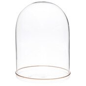 Plymor 5.5" x 8" Glass Display Dome Cloche (Gold Rim Glass Tray Base)