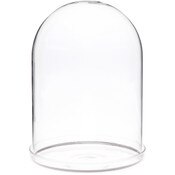 Plymor 5.5" x 8" Glass Display Dome Cloche with Silver Rim (Clear Glass Tray Base)