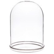 Plymor 5.5" x 8" Glass Display Dome Cloche with Silver Rim (Silver Rim Glass Tray Base)