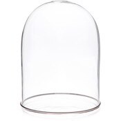 Plymor 5.5" x 8" Glass Display Dome Cloche (Silver Rim Glass Tray Base)