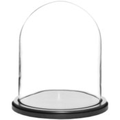 Glass Dome with Black MDF Wood Base - 8" x 10.25"