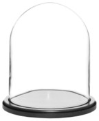 Glass Dome with Black MDF Wood Base - 8" x 10.25"
