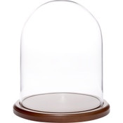 Plymor 8 inch x 10.25 inch Glass Display Dome Cloche (Dark Wood Base)