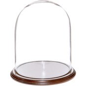Glass Dome with Dark Mahogany Veneer Base - 8" x 10.25"
