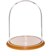 Glass Dome with Oak Veneer Base - 8" x 10.25"