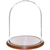 Glass Dome with Walnut Veneer Base - 8" x 10.25"