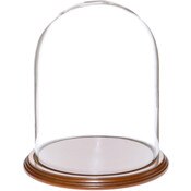 Glass Dome with Walnut Veneer Base - 8" x 10.25"