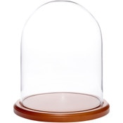 Glass Dome with Walnut MDF Base - 8" x 10.25"