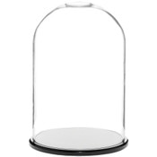 Glass Dome with Black Acrylic Base - 8" x 12"