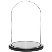 Glass Dome with Black MDF Wood Base - 8" x 12"