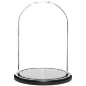 Glass Dome with Black MDF Wood Base - 8" x 12"