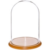 Glass Dome with Oak Veneer Base - 8" x 12"