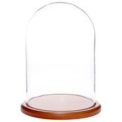 Glass Dome with Walnut MDF Base - 8" x 12"