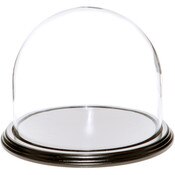 Glass Dome with Black Wood Veneer Base - 8" x 6.5"