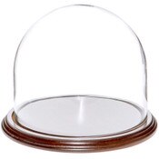 Glass Dome with Dark Mahogany Veneer Base - 8" x 6.5"