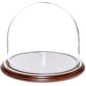 Glass Dome with Dark Mahogany Veneer Base - 8" x 6.5"