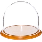 Glass Dome with Oak Veneer Base - 8" x 6.5"