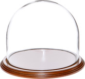 Glass Dome with Walnut Veneer Base - 8" x 6.5"