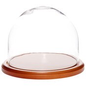 Glass Dome with Walnut MDF Base - 8" x 6.5"