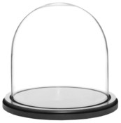 Glass Dome with Black Wood Base - 8" x 8"