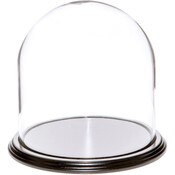 Glass Dome with Black Wood Veneer Base - 8" x 8"
