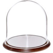 Glass Dome with Dark Mahogany Veneer Base - 8" x 8"