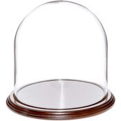 Glass Dome with Dark Mahogany Veneer Base - 8" x 8"