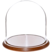 Glass Dome with Walnut Veneer Base - 8" x 8"