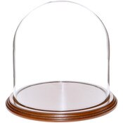 Glass Dome with Walnut Veneer Base - 8" x 8"