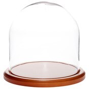 Glass Dome with Walnut MDF Base - 8" x 8"