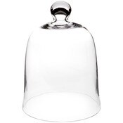 Glass Bell Jar - 8.5" x 11"