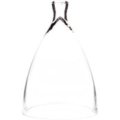 Glass Dome Cloche - 11" x 17.25"