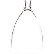 Glass Dome Cloche - 9" x 15"