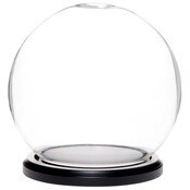 Plymor 6" x 7" Glass Display Dome Globe Cloche (Black MDF Wood Base)
