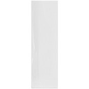 Plymor 3" x 10" (Pack of 100), 2 Mil Flat Open Clear Plastic Poly Bags