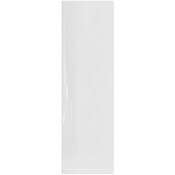 Plymor 3" x 10" (Pack of 100), 2 Mil Flat Open Clear Plastic Poly Bags