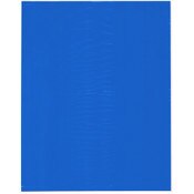 Plymor 12" x 15" (Pack of 100), Blue 2 Mil Flat Open Plastic Poly Bags