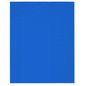 Plymor 8" x 10" (Pack of 100), Blue 2 Mil Flat Open Plastic Poly Bags