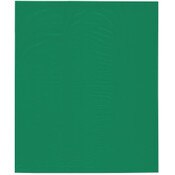 Plymor 15" x 18" (Pack of 100), Green 2 Mil Flat Open Plastic Poly Bags