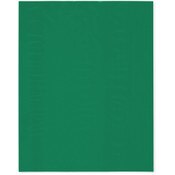 Plymor 8" x 10" (Pack of 100), Green 2 Mil Flat Open Plastic Poly Bags