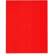 Plymor 12" x 15" (Pack of 100), Red 2 Mil Flat Open Plastic Poly Bags