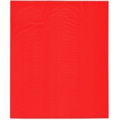 Plymor 15" x 18" (Pack of 100), Red 2 Mil Flat Open Plastic Poly Bags