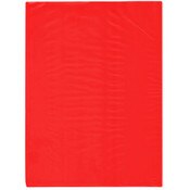 Plymor 9" x 12" (Pack of 100), Red 2 Mil Flat Open Plastic Poly Bags