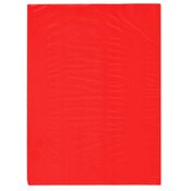 Plymor 9" x 12" (Pack of 100), Red 2 Mil Flat Open Plastic Poly Bags