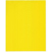 Plymor 12" x 15" (Pack of 100), Yellow 2 Mil Flat Open Plastic Poly Bags