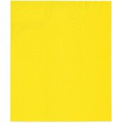 Plymor 15" x 18" (Pack of 100), Yellow 2 Mil Flat Open Plastic Poly Bags