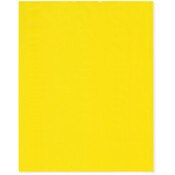 Plymor 8" x 10" (Pack of 100), Yellow 2 Mil Flat Open Plastic Poly Bags