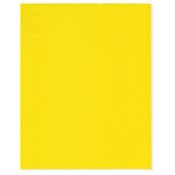 Plymor 8" x 10" (Pack of 100), Yellow 2 Mil Flat Open Plastic Poly Bags