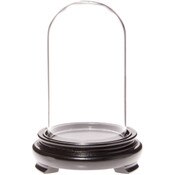 Plymor 2.5" x 4.5" Glass Display Dome Cloche (Black Wood Veneer Footed Base)
